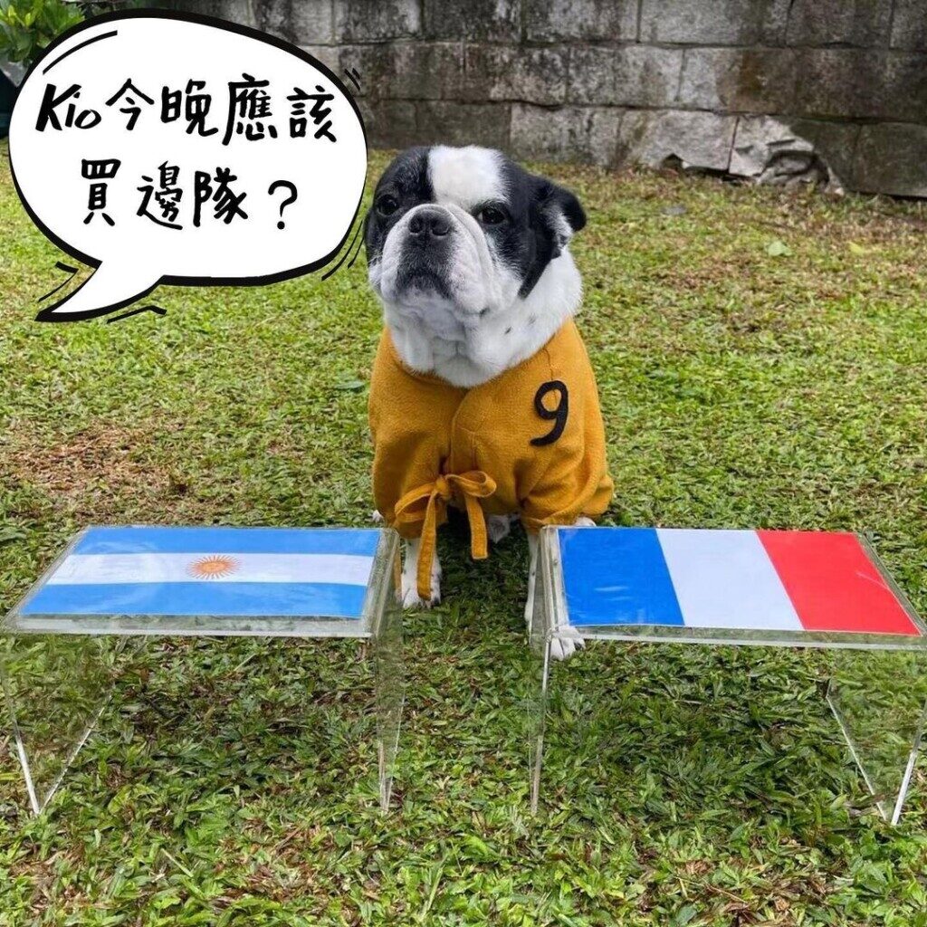 Stephen Chow’s pet correctly predicted World Cup winner, celeb asia, stephen chow, theHive.Asia