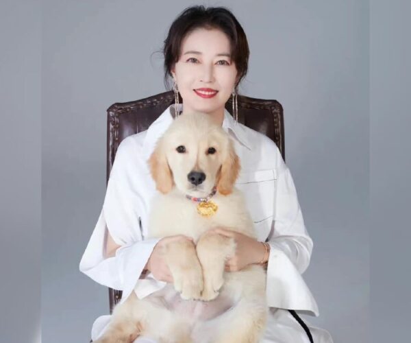 Kathy Chow’s pets to be flown back to Hong Kong?